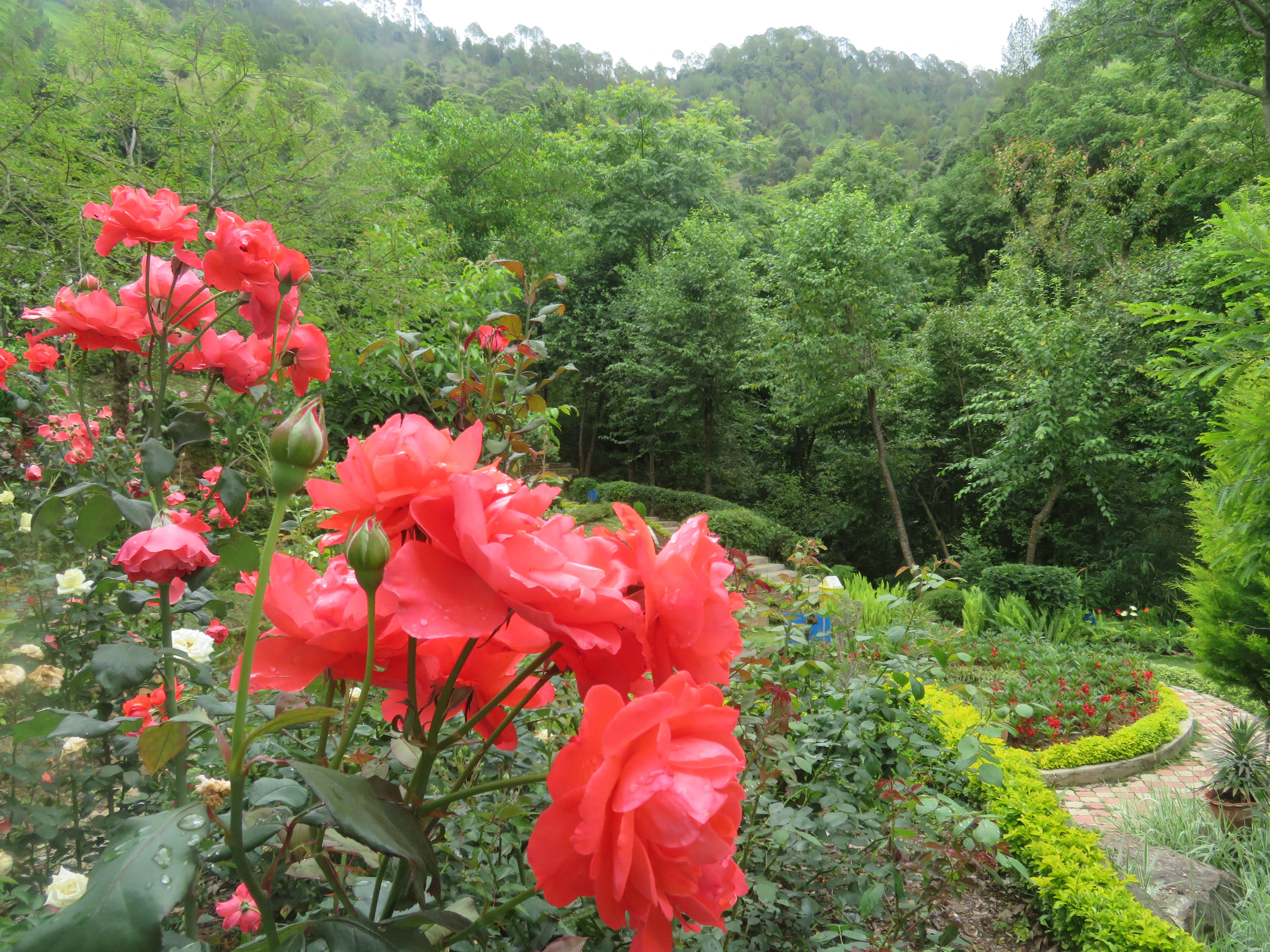 plant research center salyan