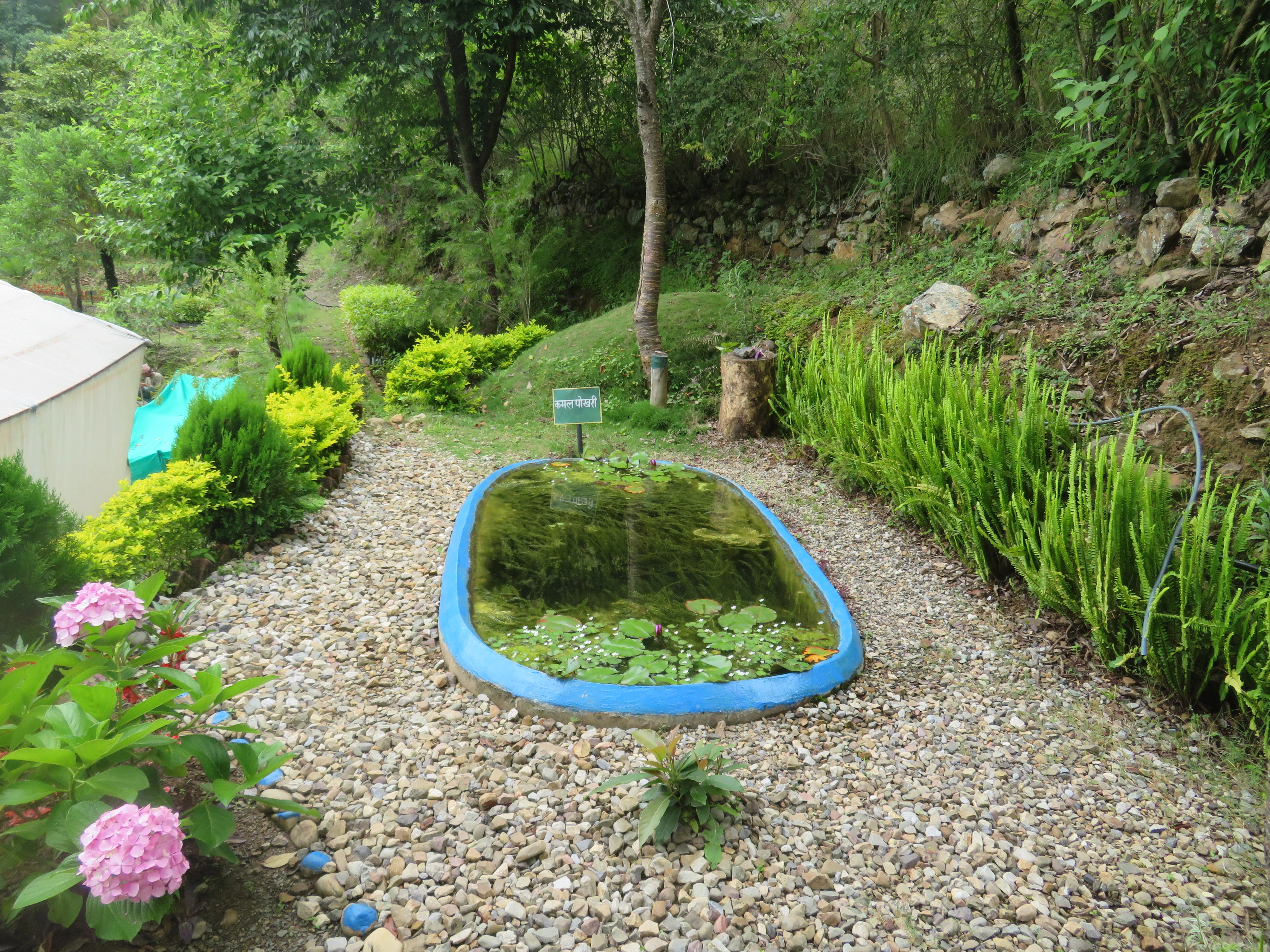 plant research center salyan