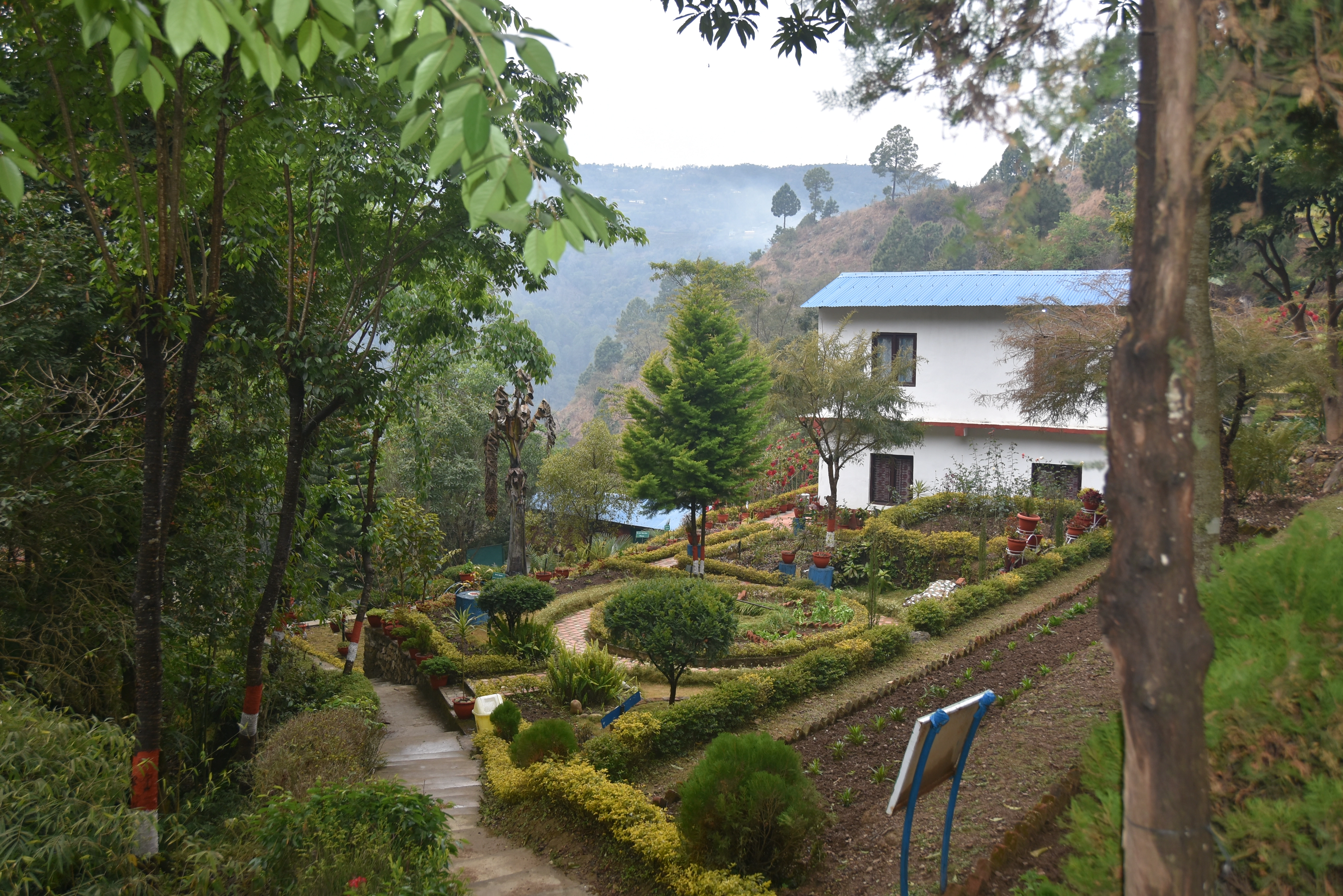 plant research center salyan