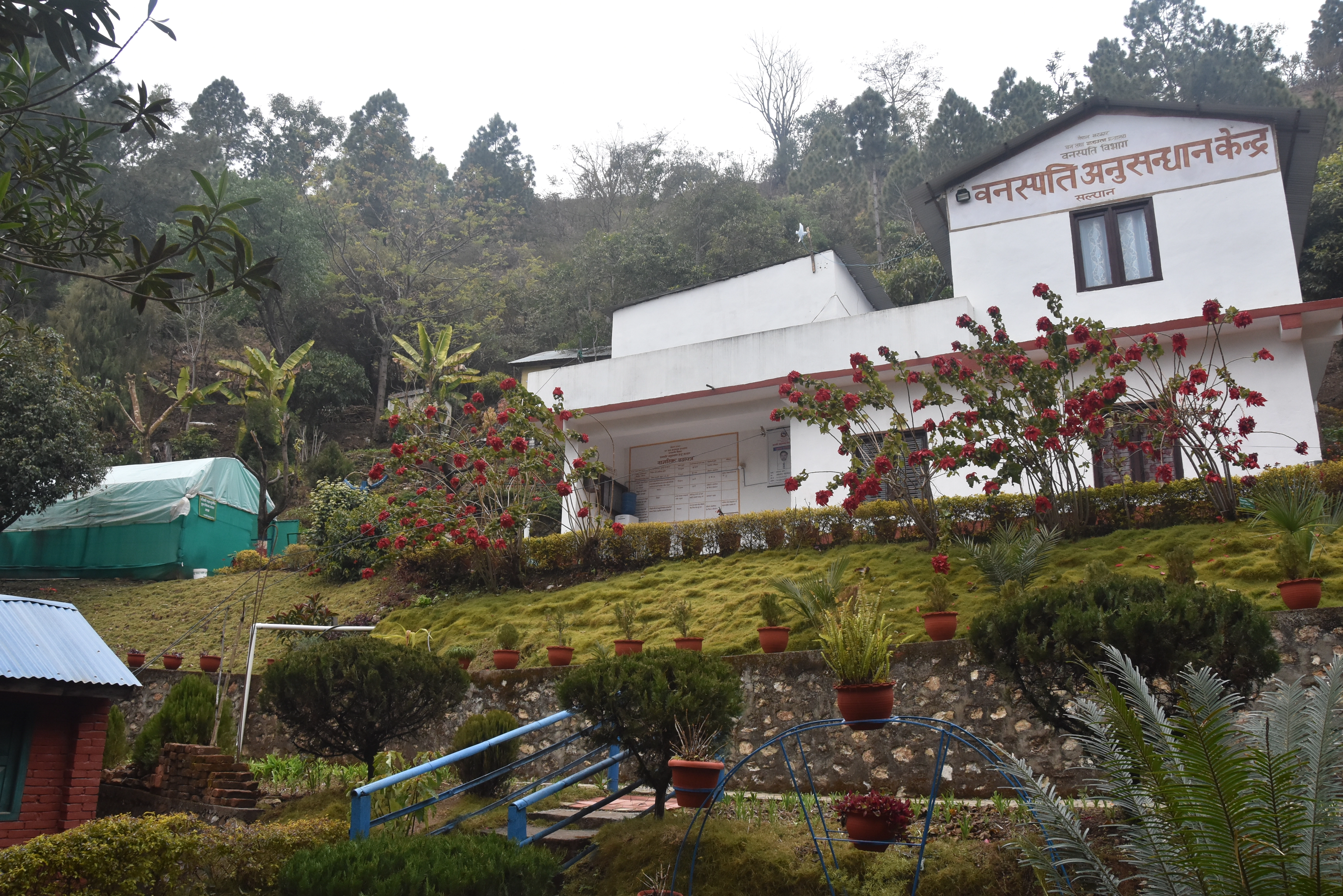 plant research center salyan